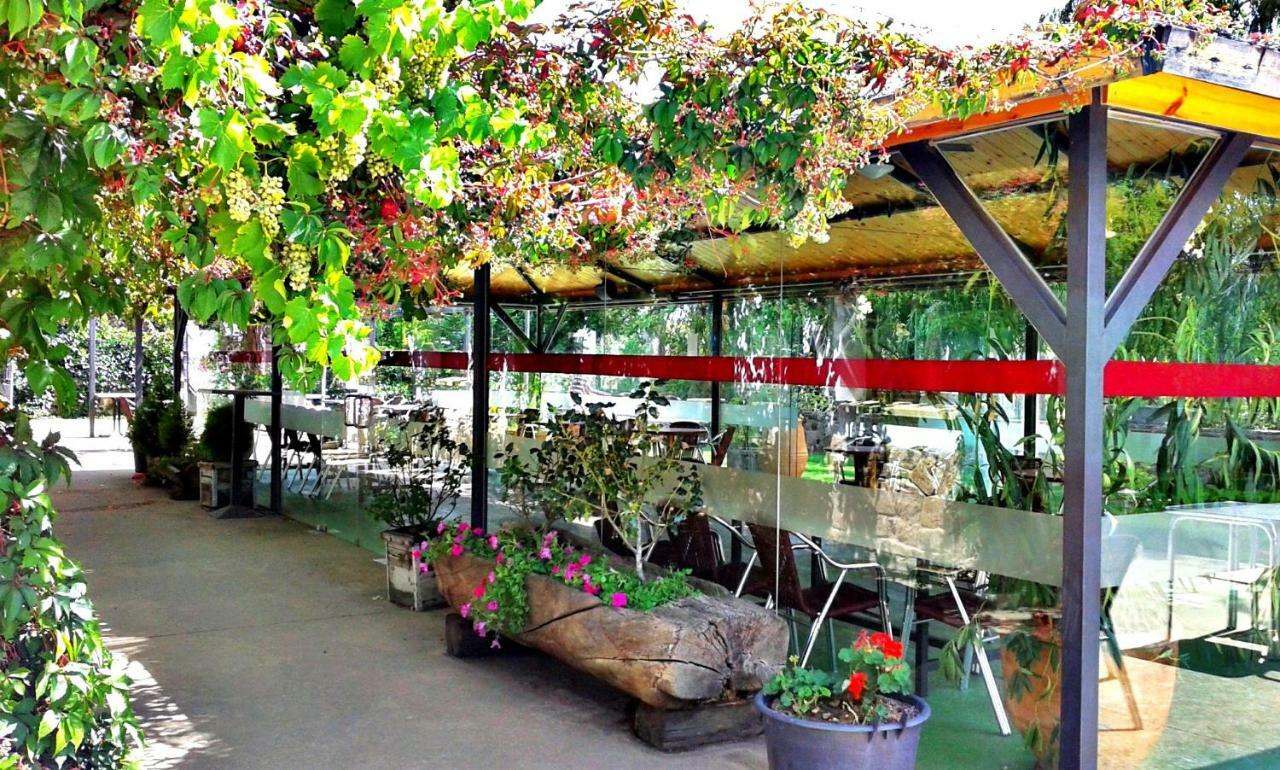 Entrerrobles Hotel Valdeavellano de Tera Ngoại thất bức ảnh
